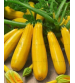 Zucchini / Tori F1 Golden Tejas 150 grams